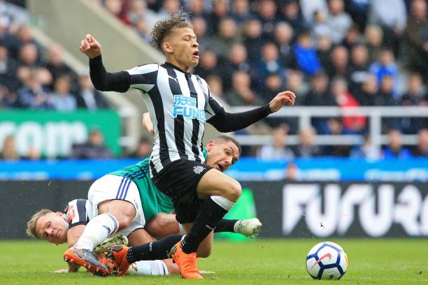 球員風格的 球員風格的